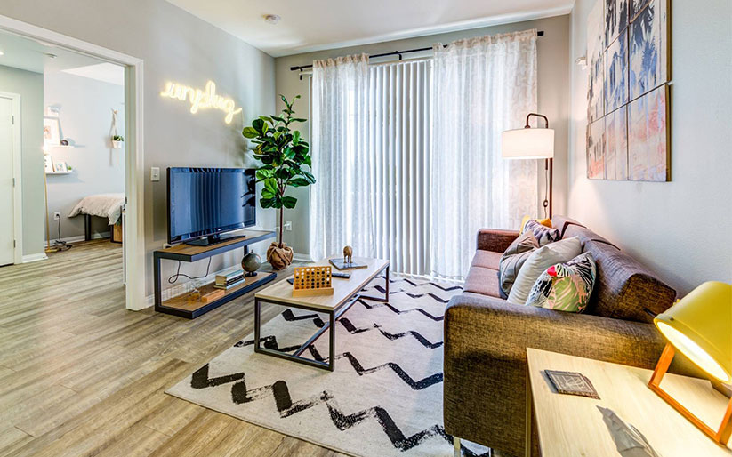 Furnished apartment living space